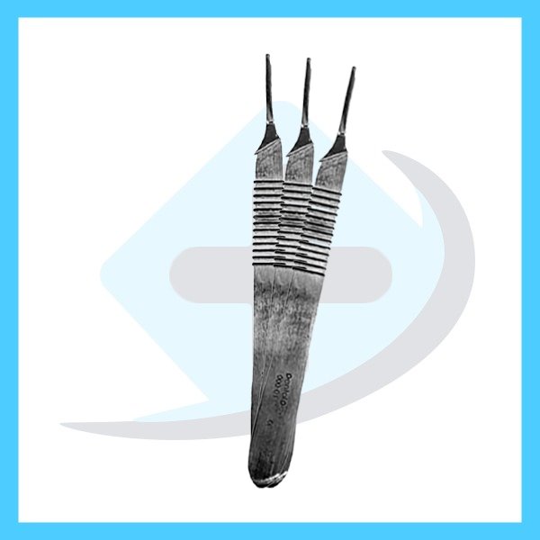 دسته بیستوری